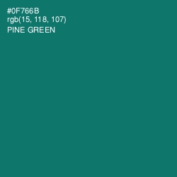 #0F766B - Pine Green Color Image